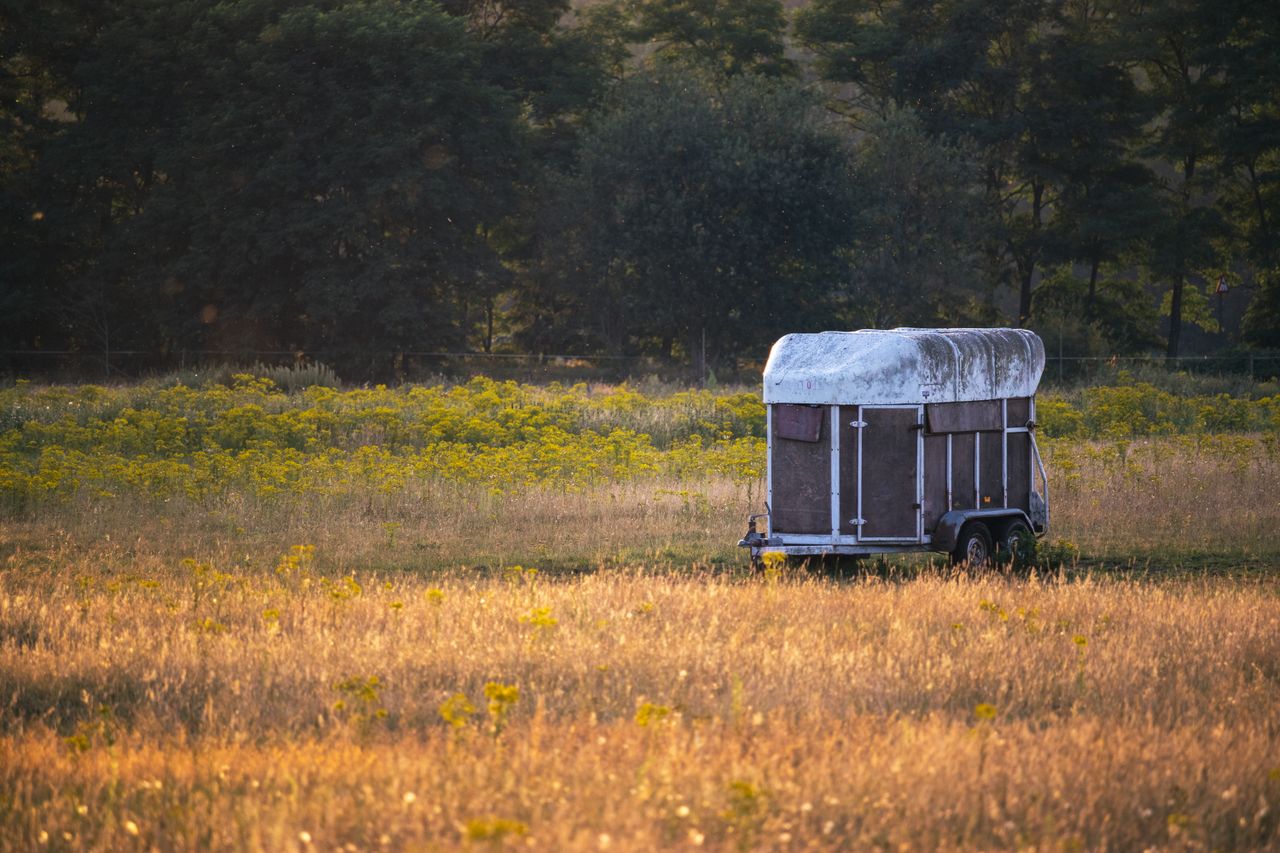 A scenic rural landscape featuring an abandoned trailer in a sunlit meadow.