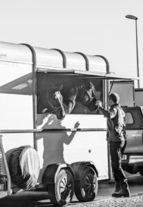 Geld verdienen mit ihrem Pferdeanhänger A man interacts with a horse in a trailer, captured in black and white.